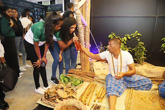 Indoor Entertainment